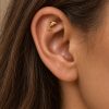 Small gold-tone dolphin stud nestled inside the upper ear of a woman with long brown hair