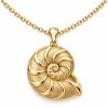 Gold-tone nautilus shell pendant with raised spiral ribs and textured recessed panels